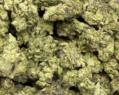 KHALIFA MINTZ smalls (EXOTIC OZ DEAL!) - Image 4